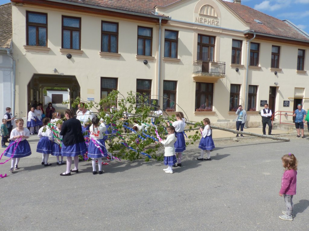 p1290954.jpg