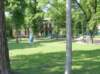 p1300503_small.jpg