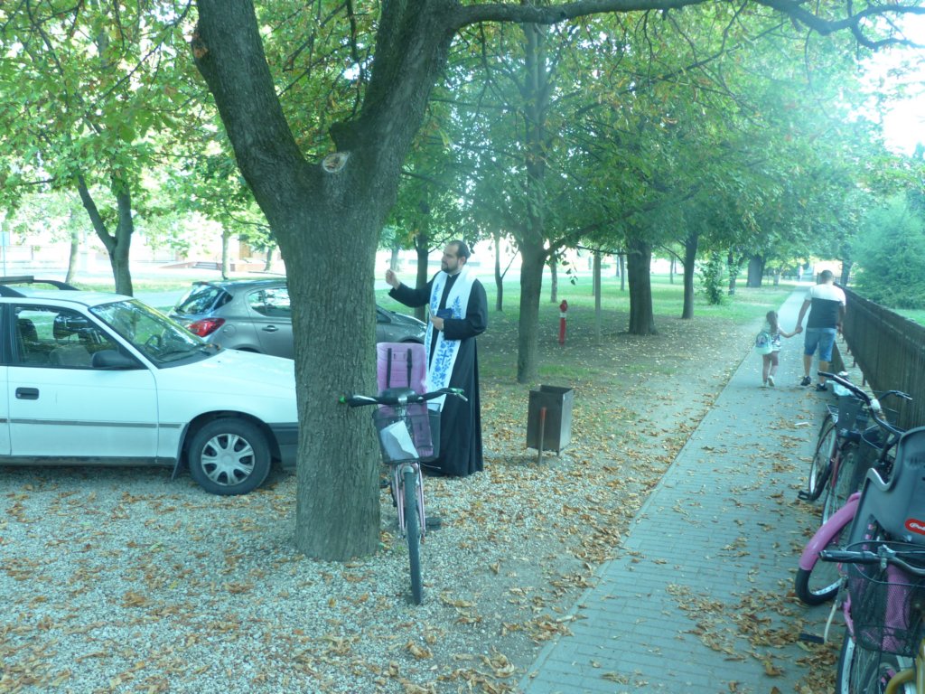 p1250483.jpg