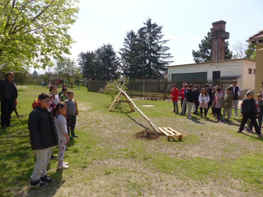 p1290823.jpg