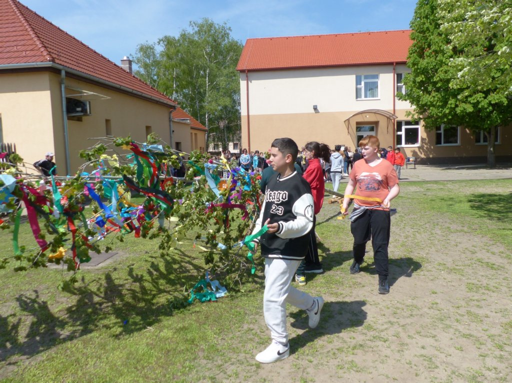 p1290898.jpg