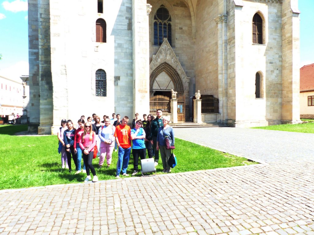 p1410519.jpg