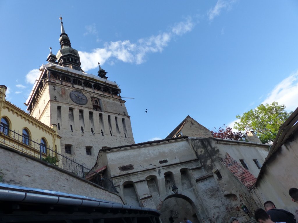 p1410547.jpg