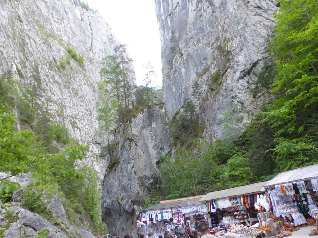 p1420128.jpg