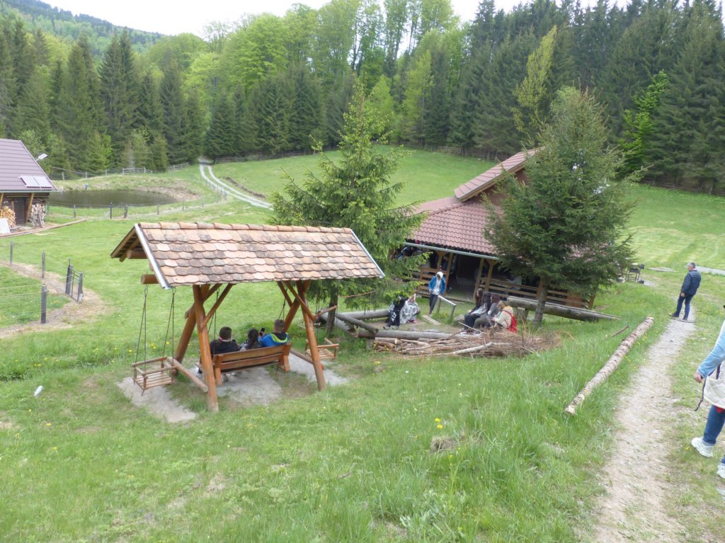 p1420401.jpg