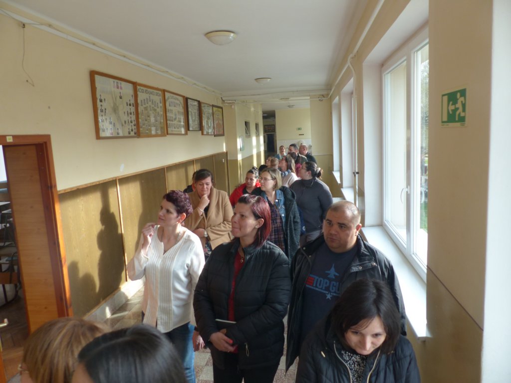 p1380782.jpg