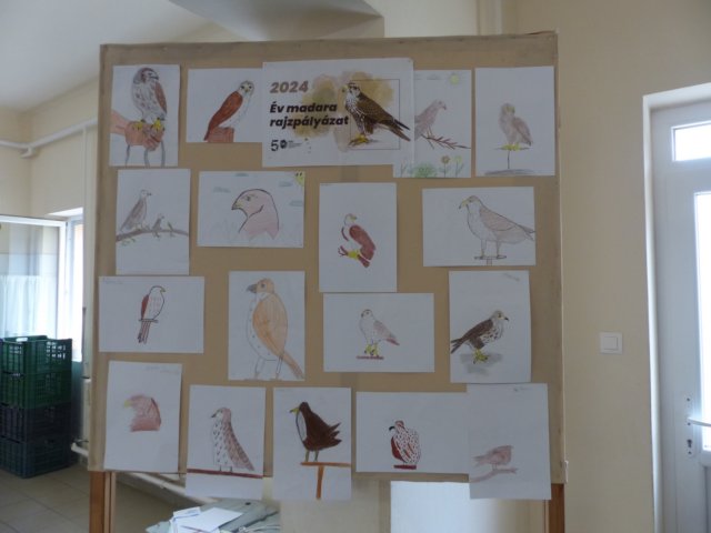 p1390691.jpg