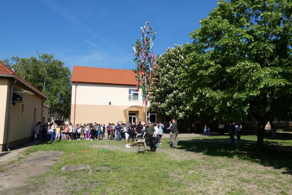 photo24.jpg