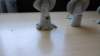 p1000147_small.jpg