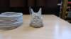p1000182_small.jpg