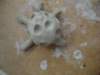 s7300019_small.jpg