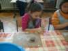 s7300023_small.jpg