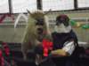 dscf2718_small.jpg