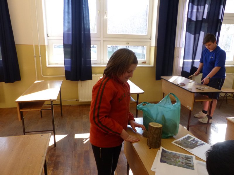 p1000245.jpg