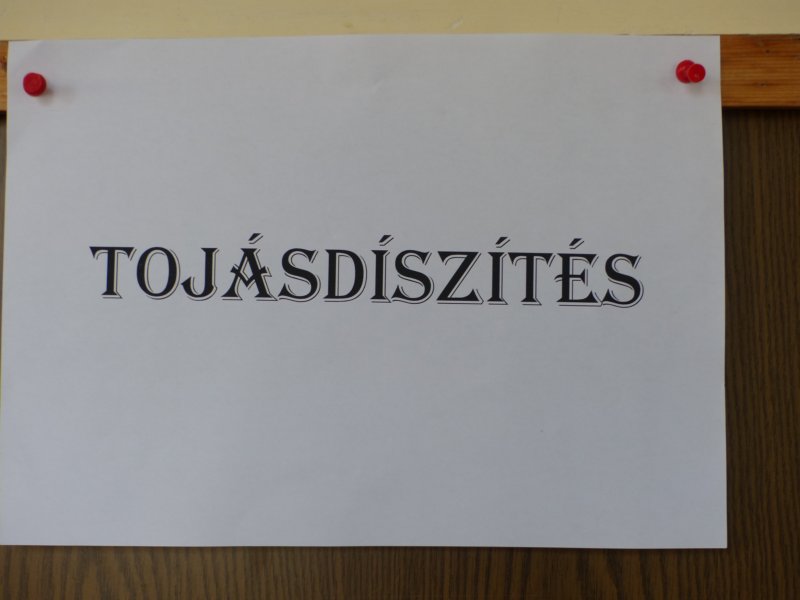 p1000283.jpg