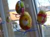 p1000285_small.jpg