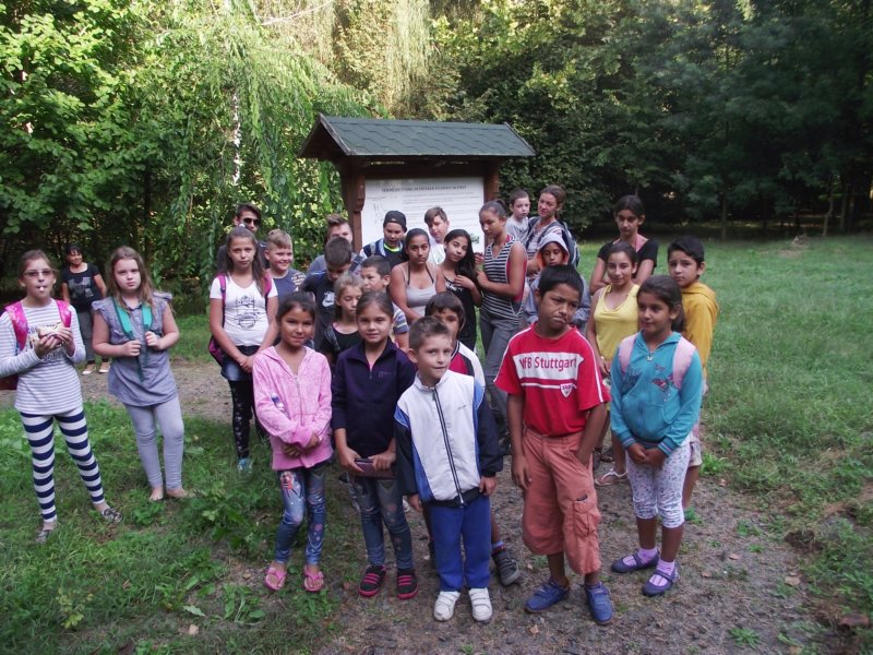 dscf1523.jpg