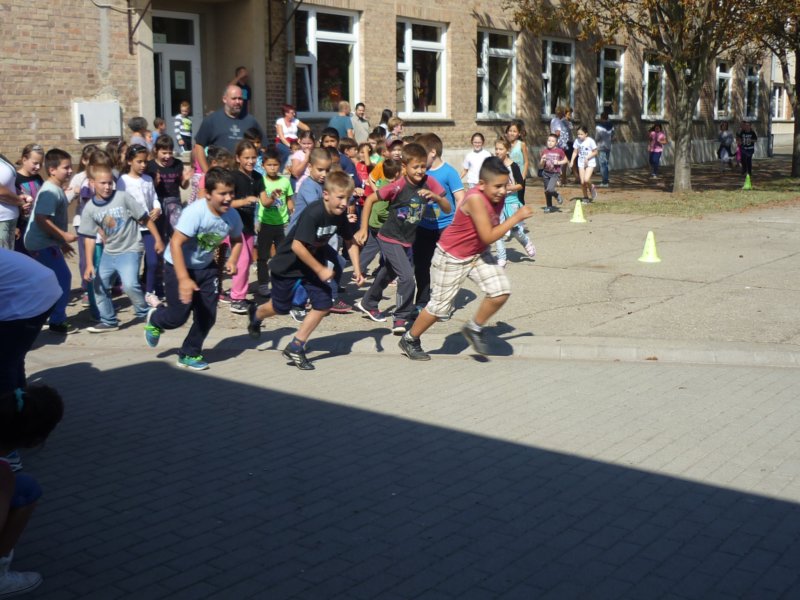 p1090775.jpg