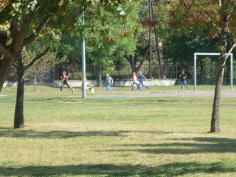 p1090778.jpg