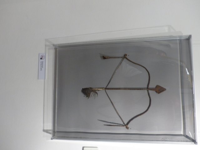 p1050698.jpg