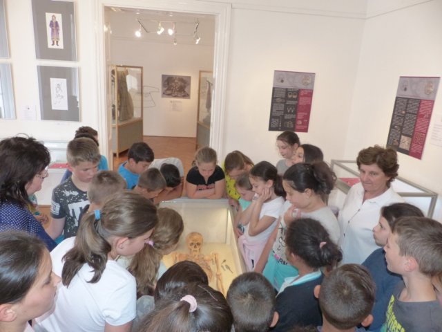 p1050817.jpg