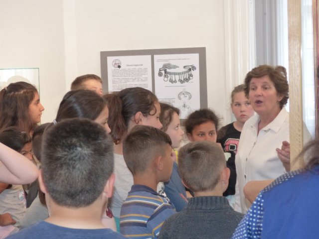 p1050830.jpg