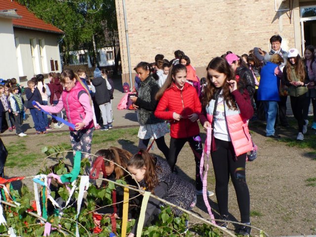 p1050194.jpg