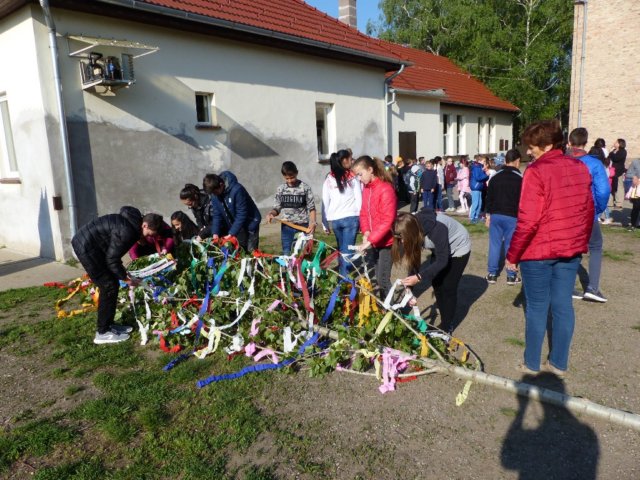p1050205.jpg