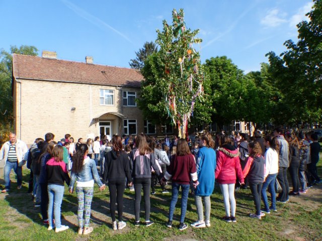 p1050215.jpg
