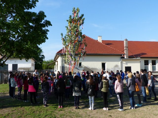 p1050218.jpg