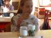 p1030595_small.jpg