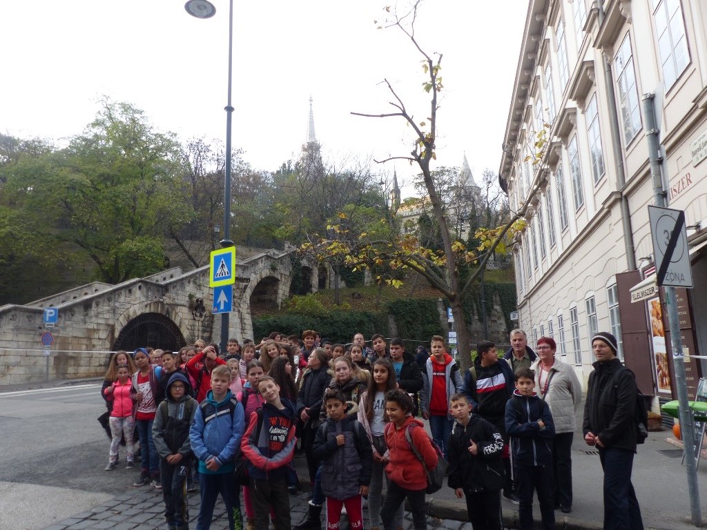 p1080274.jpg
