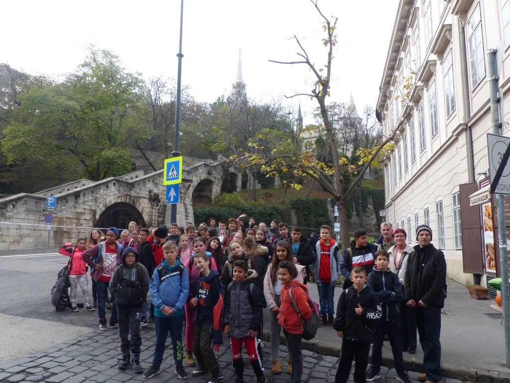 p1080278.jpg