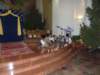 p1090149_small.jpg
