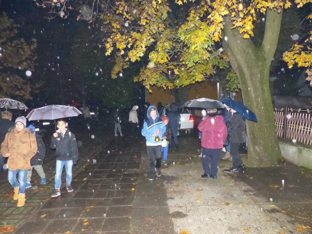 p1080360.jpg