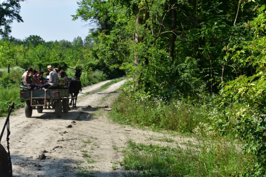 dsc_0031.jpg