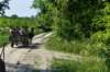 dsc_0031_small.jpg