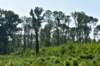 dsc_0032_small.jpg