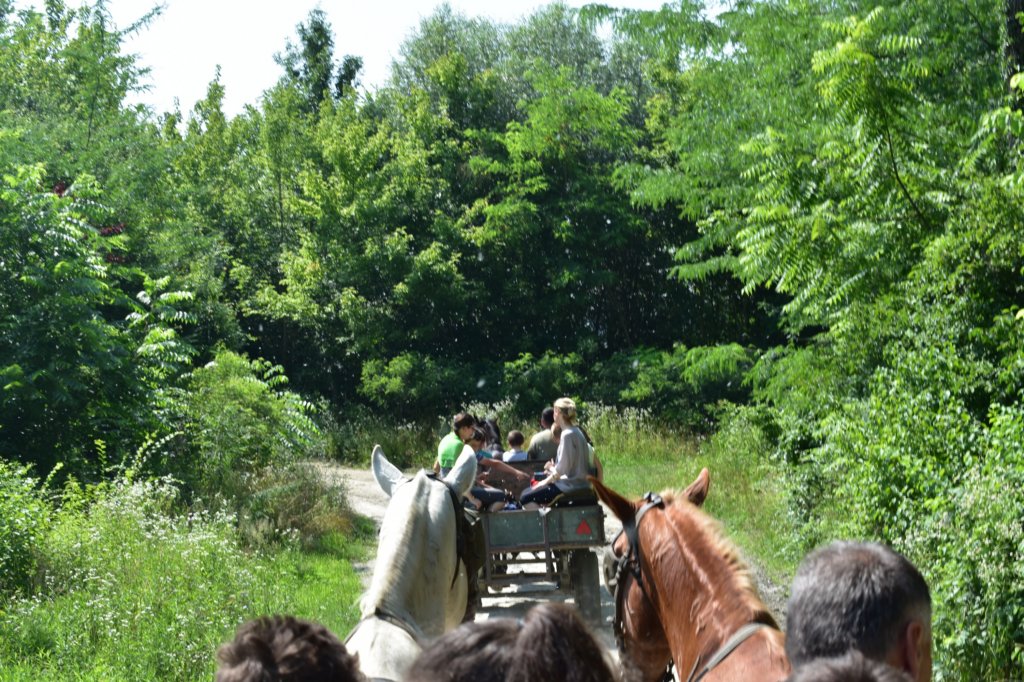 dsc_0033.jpg