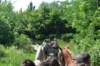 dsc_0033_small.jpg