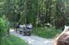 dsc_0037_small.jpg