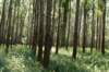 dsc_0041_small.jpg