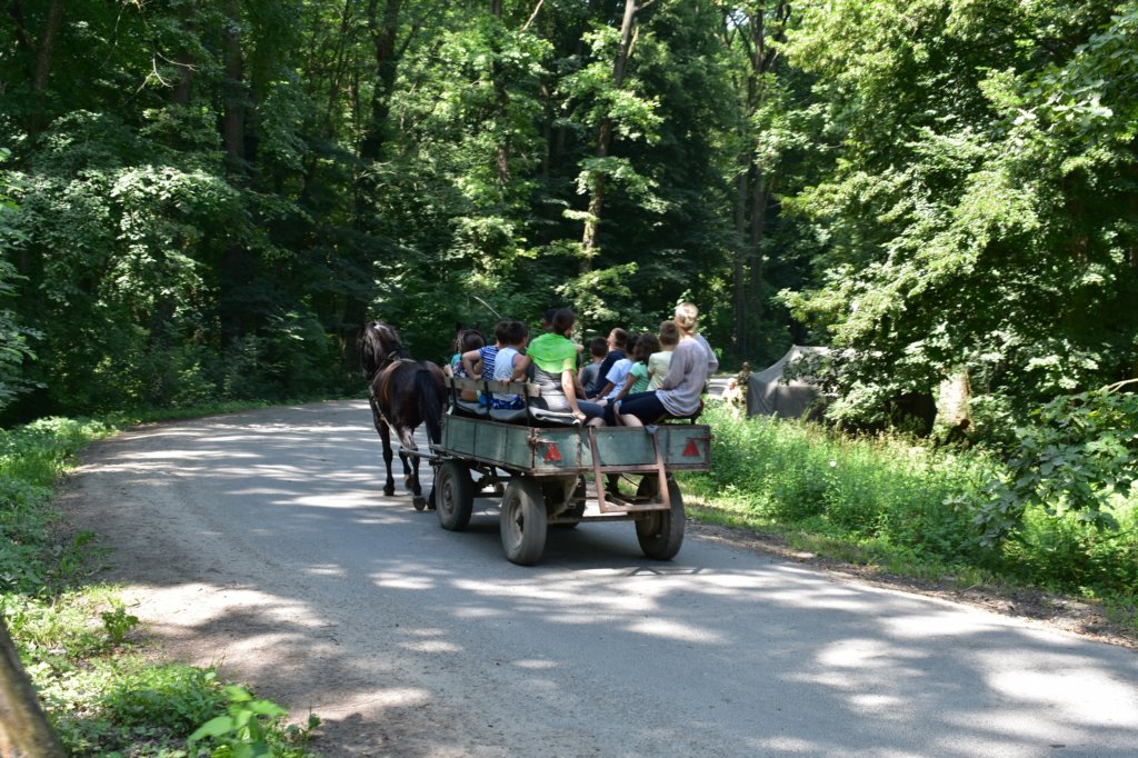 dsc_0046.jpg