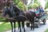 dsc_0053_small.jpg