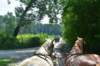 dsc_0082_small.jpg