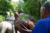 dsc_0094_small.jpg