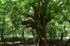 dsc_0104_small.jpg