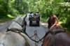 dsc_0111_small.jpg