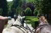 dsc_0112_small.jpg