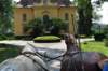 dsc_0117_small.jpg